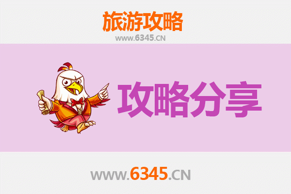济源天坛街道旅游攻略：跟团与自由行深度对比